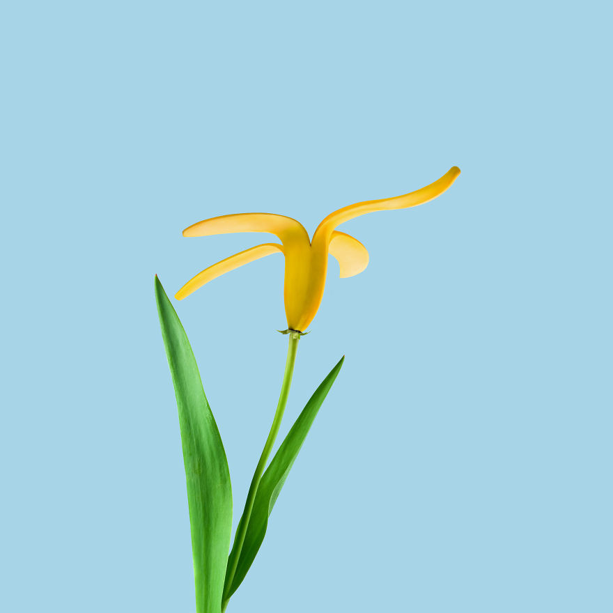 Flower + Banana Peel