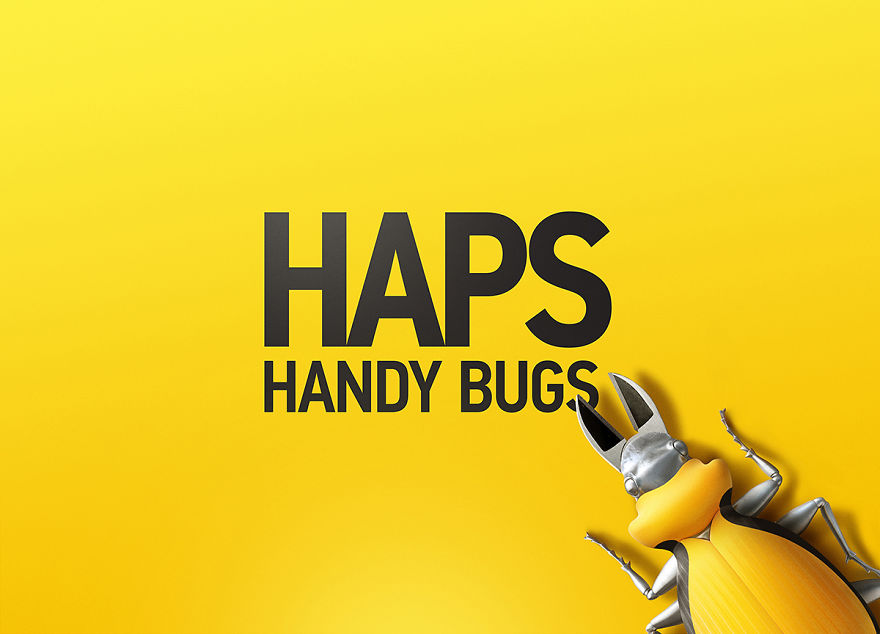 These Bugs Fix Any Bugs These Bugs Fix Any Bugs
