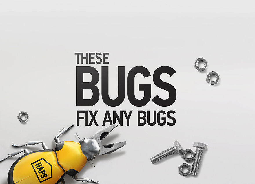 These Bugs Fix Any Bugs These Bugs Fix Any Bugs