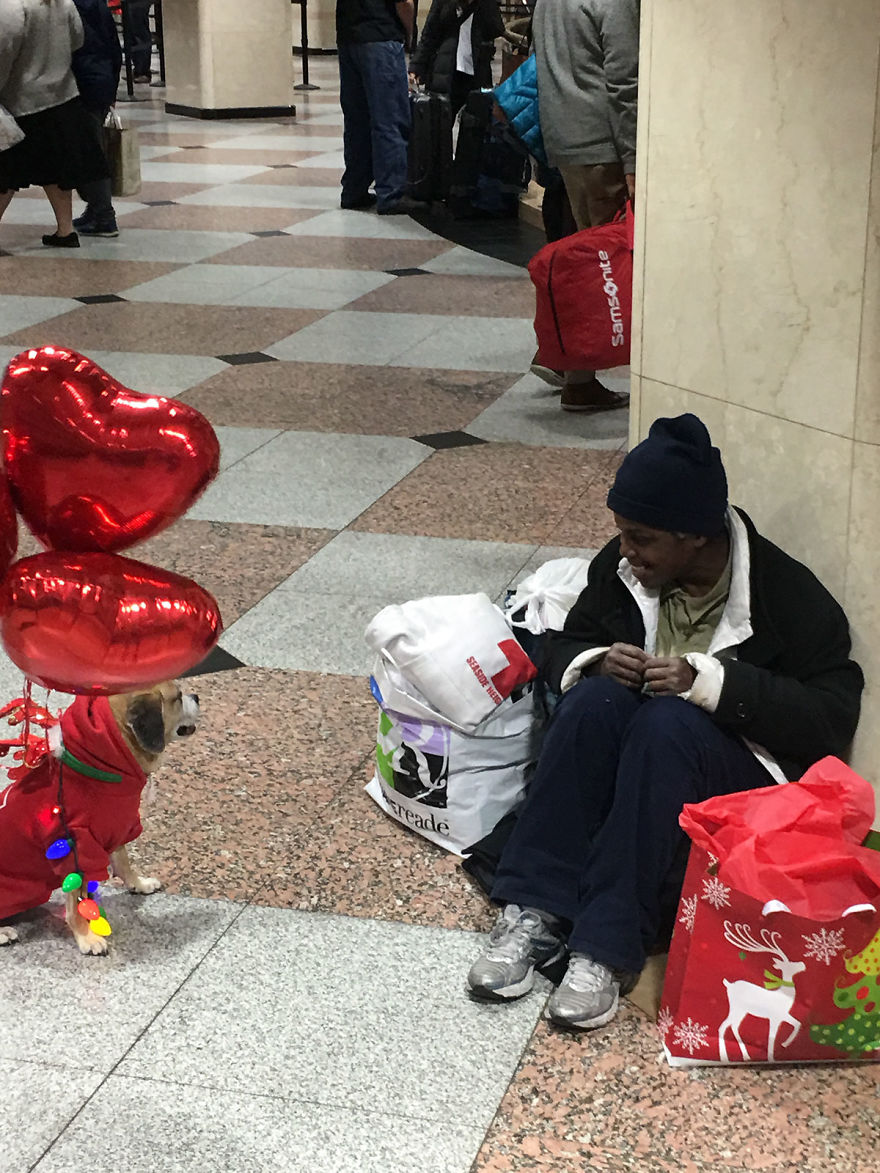 How A Rescue Dog Is Giving Joy To The Homeless In Nyc
