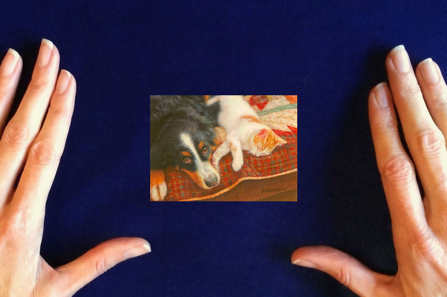 I Immortalize Pets As Exquisite Miniature Paintings I Immortalize Pets As Exquisite Miniature Paintings