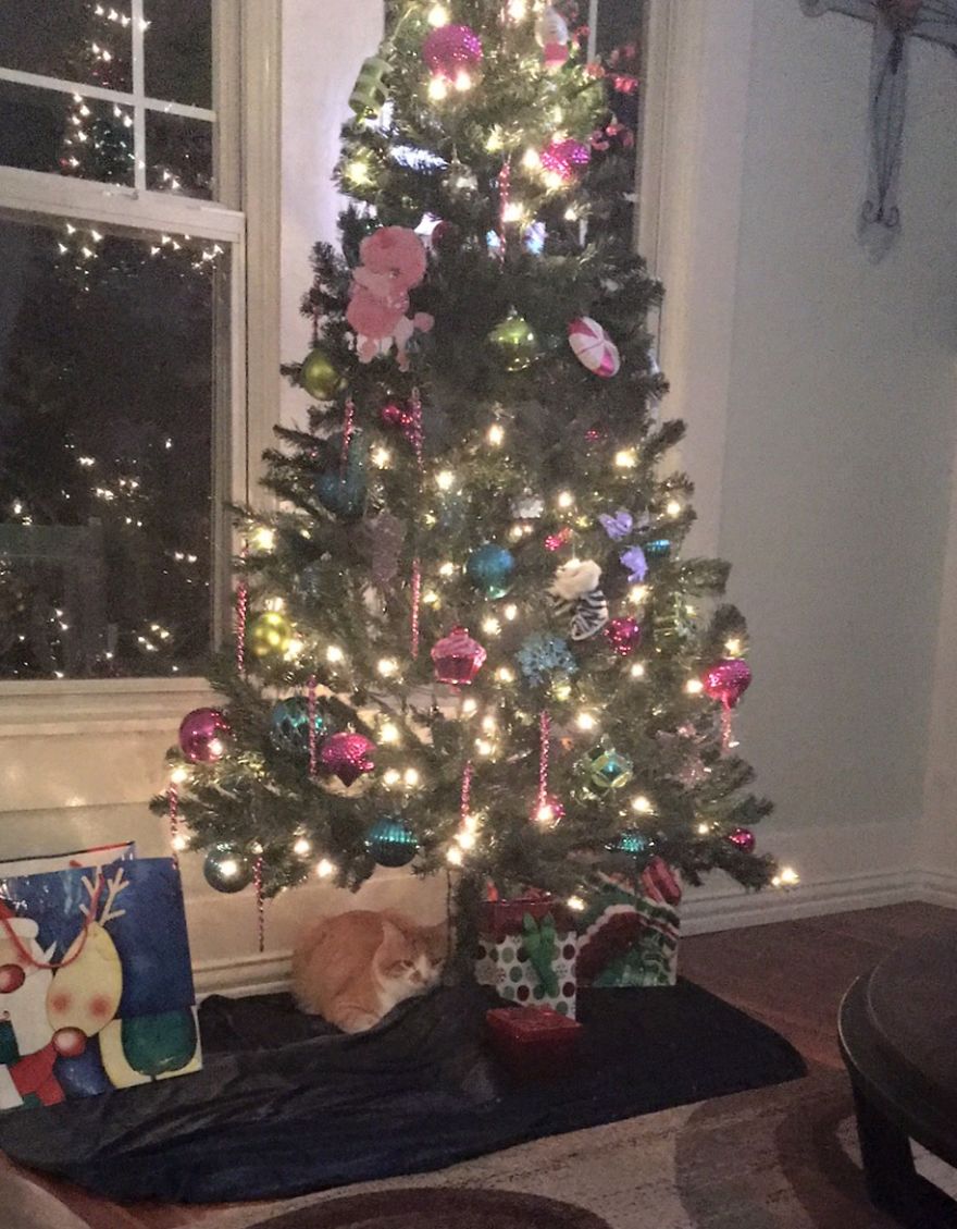 I See You Peek A Boo