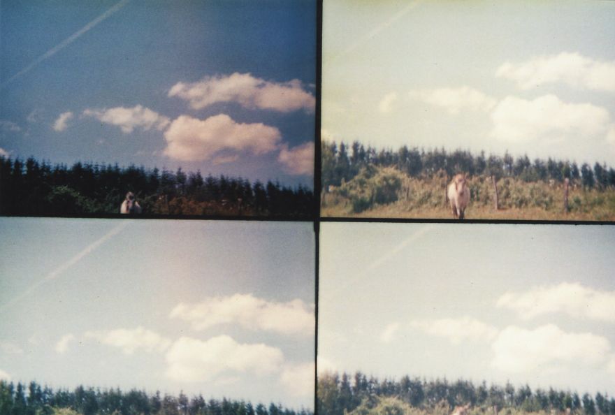 I Take Analogue Photos With A Multilens Camera (part 2)