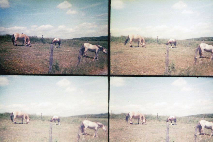 I Take Analogue Photos With A Multilens Camera (part 2)