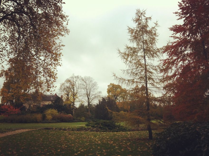 Fontainebleau Palace