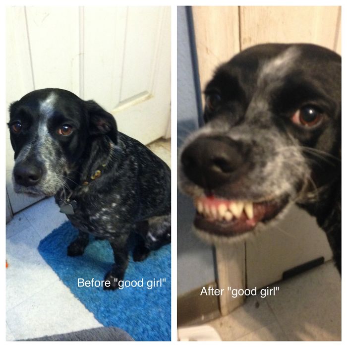 Lucy Before Good Girl And After