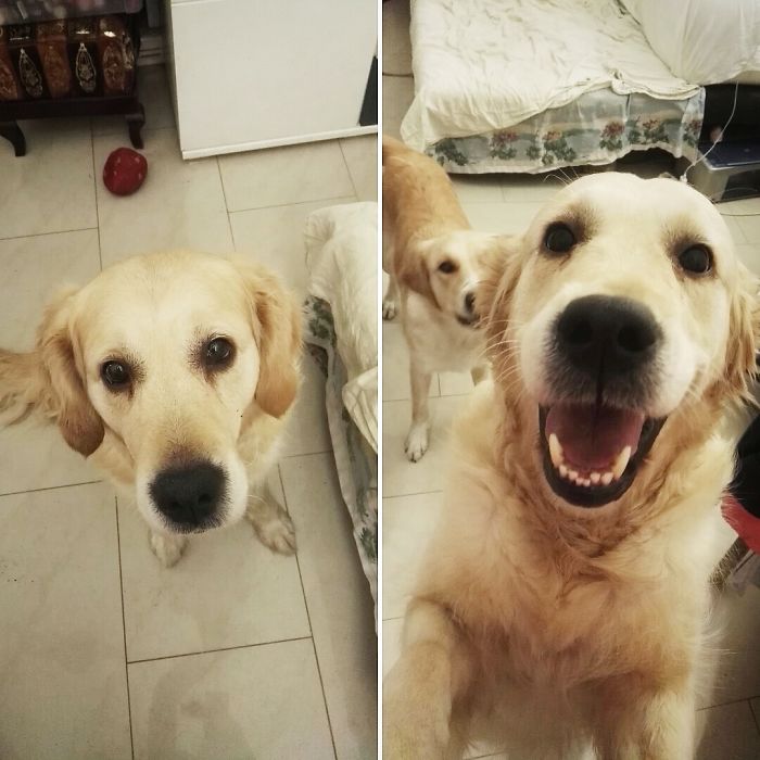 Before And After Being Called A Good Girl Emily