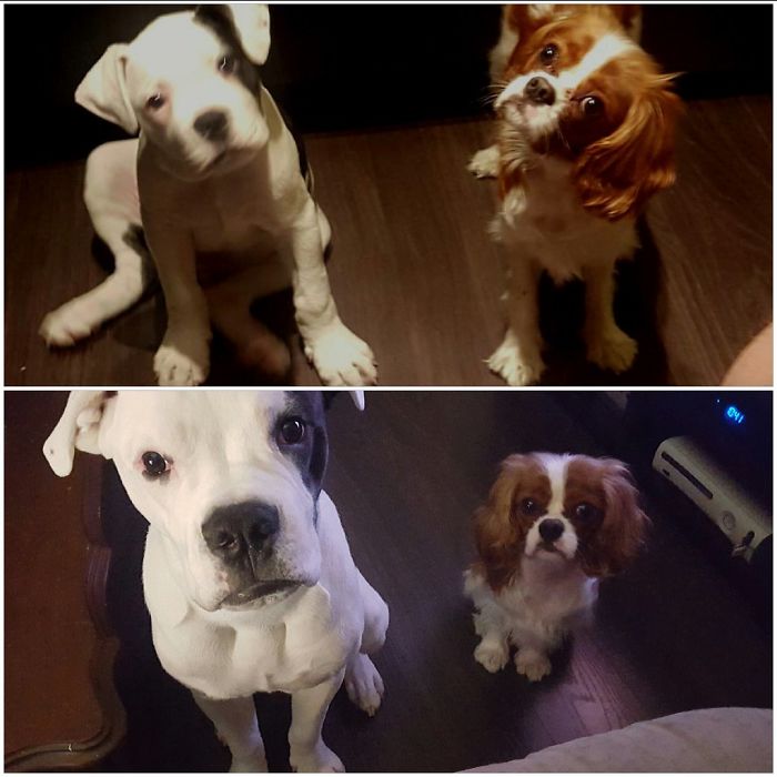 Murphy And Grimes...the Difference 8 Months Makes. @jeddiemercury