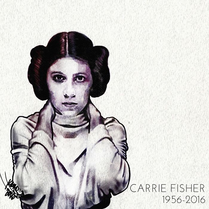 My Favorite Disney Princess, General Leia Organa
