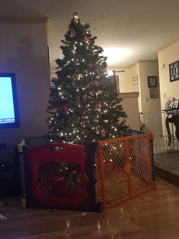 Cat Proof, Dog Proof, Toddler Proof. Because I Have All 3.