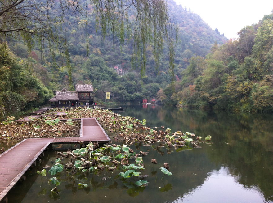 My Way From An Assistant Professor To A Kungfu Teacher, Or What Kugfu Panda Concealed... My Way From An Assistant Professor To A Kungfu Teacher, Or What Kugfu Panda Concealed...