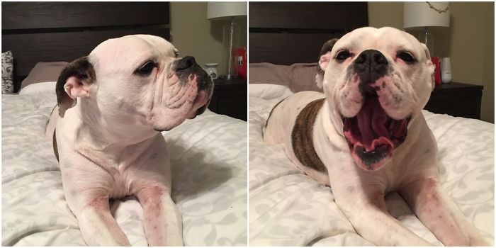 Before And After Of Being Told She's A Good Girl