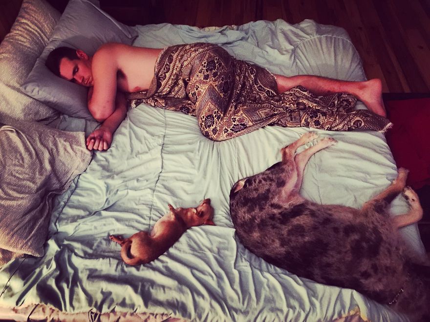 3 Dogs, 10 Legs