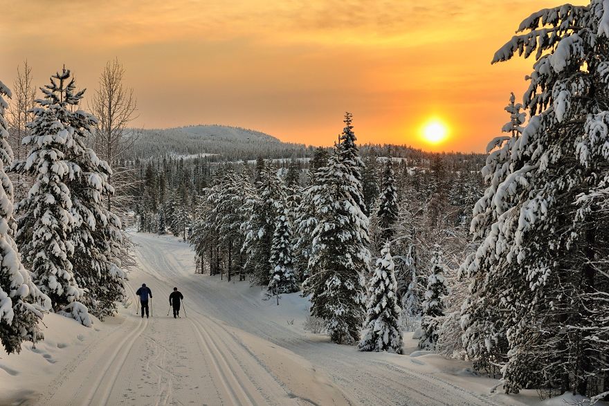 In Finland I Discovered A Colorful, Ambient Scenery For Cross-Country Skiing