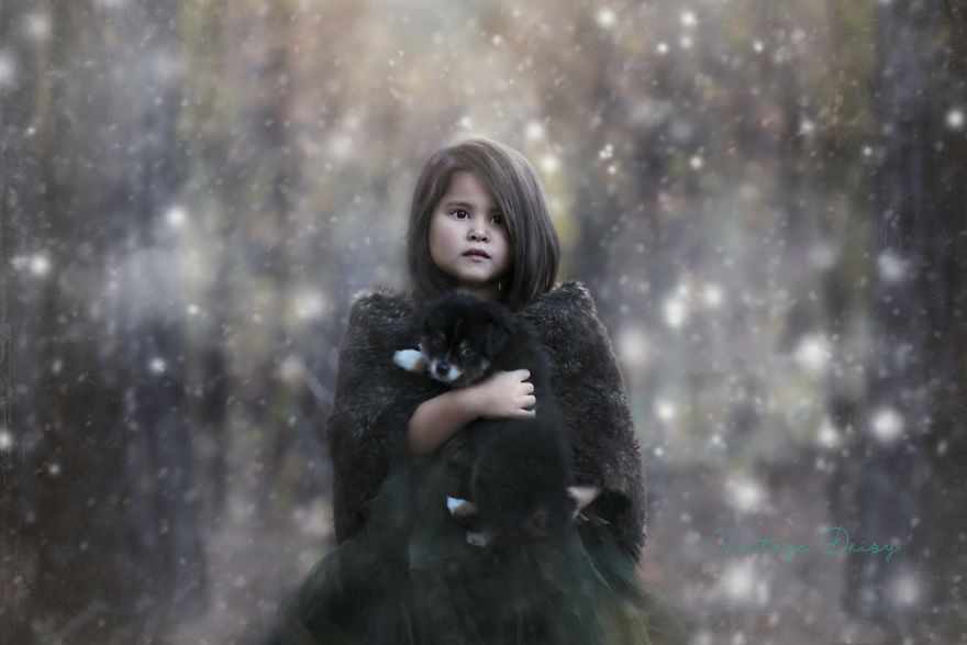 The Magic Of Winter The Magic Of Winter