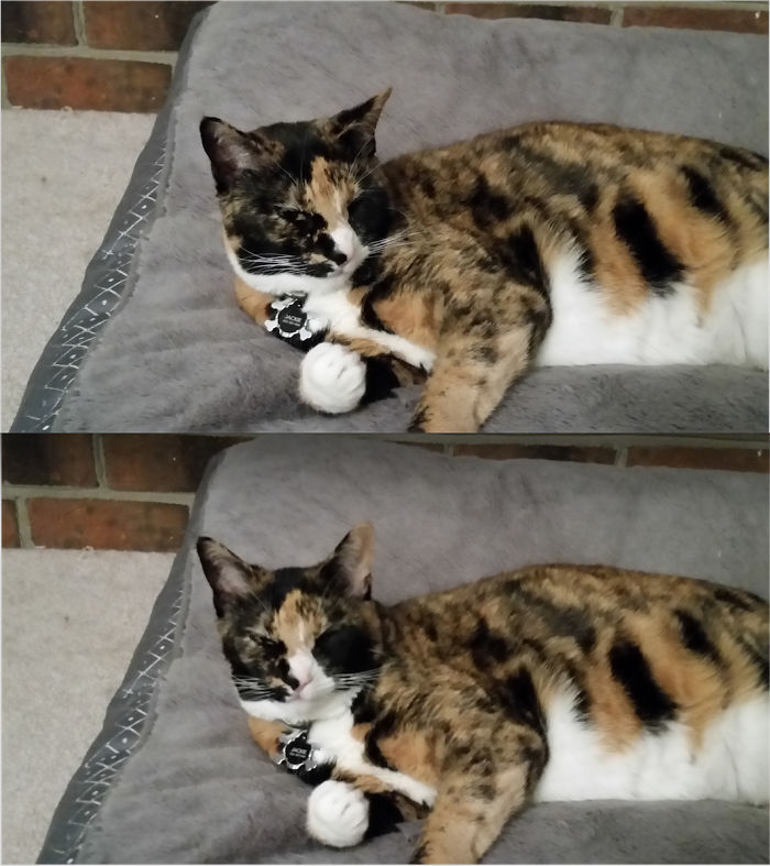 Before And After Being Called A Good Kitty