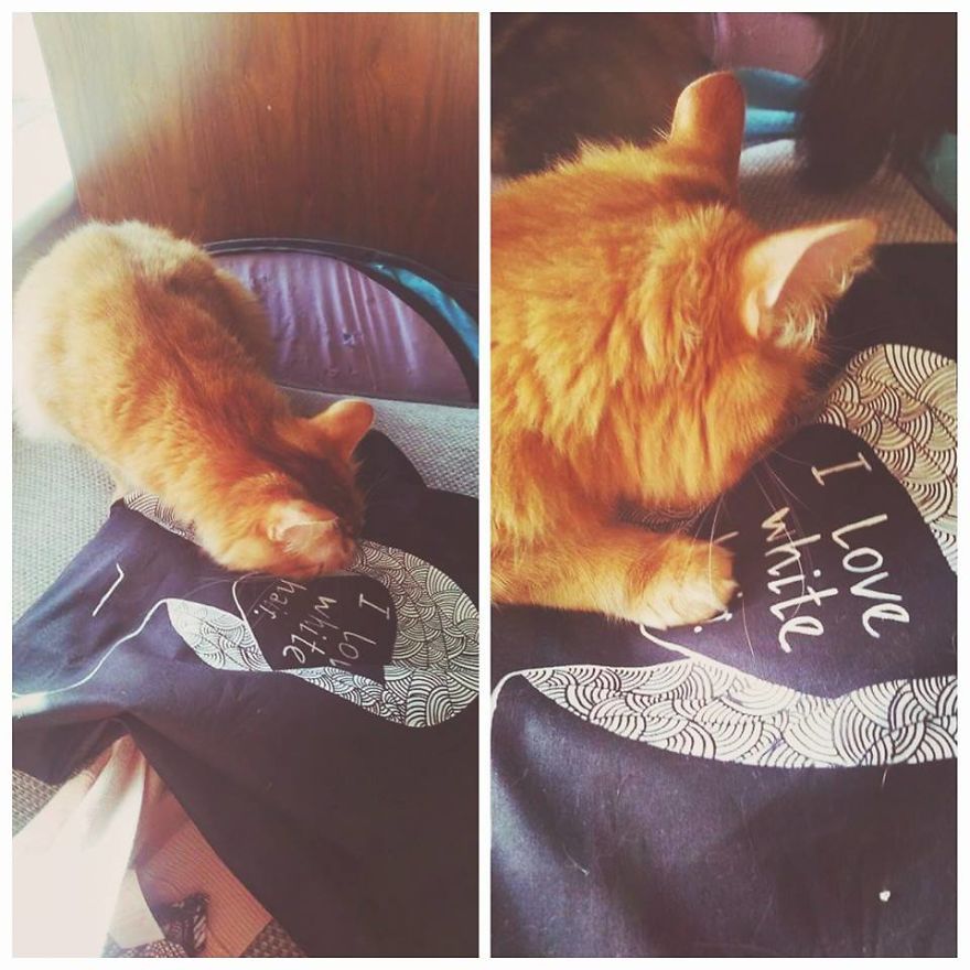 She Makes A Living From Bags And I Love It!