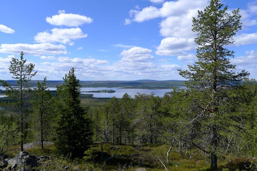 The Silence Of Lapland - Lappish Spring Captured With An Old, Compact Camera