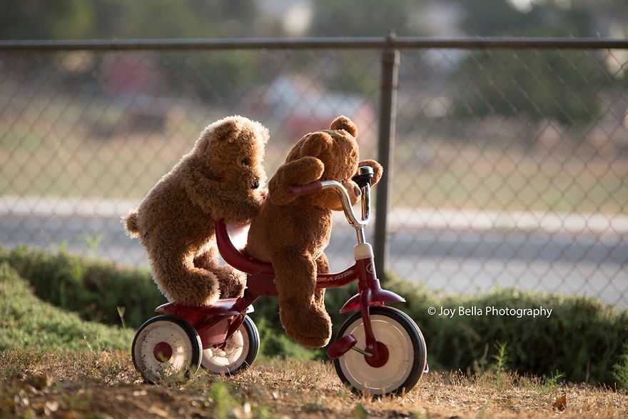 This Photographer Takes You On An Adventure With Teddy B And Roger