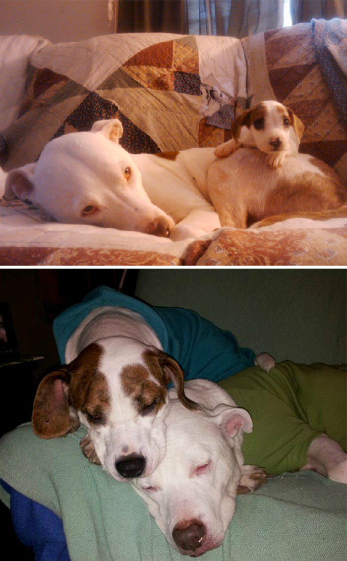 Fiona And Shrek. 3 Years Ago, And Now