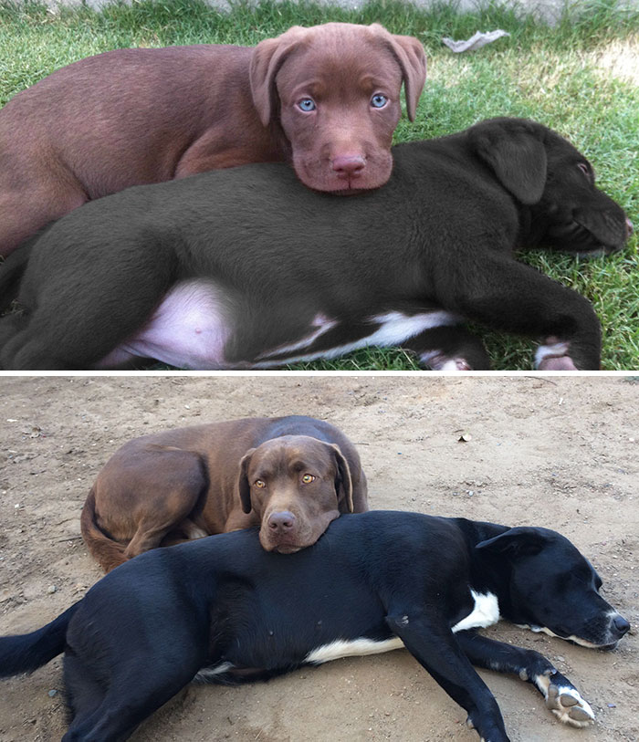 Inseparable Then And Now