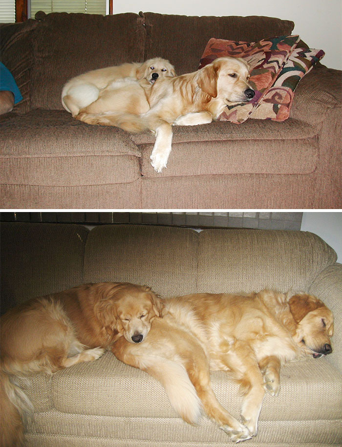 Sharing The Couch Then And Now