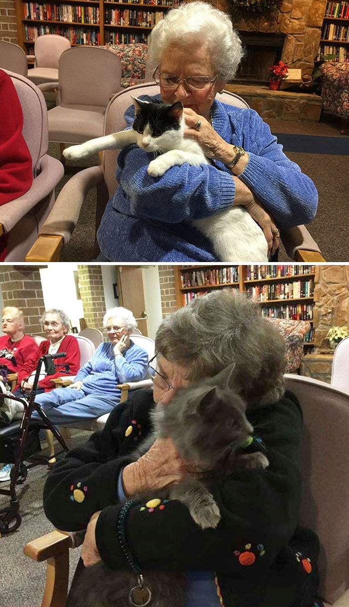 Shelter Brings Senior Cats To Seniors In Nursing Homes So They Can Comfort Each Other
