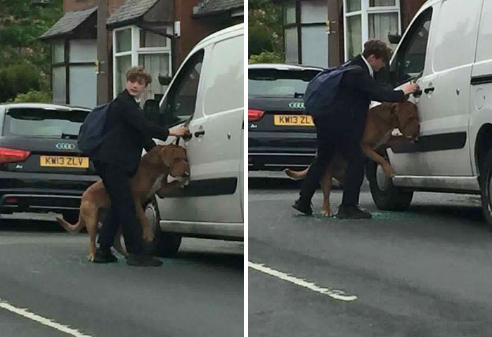 Boy Rescues Dog Which Hanged Itself Trying To Escape Hot Van