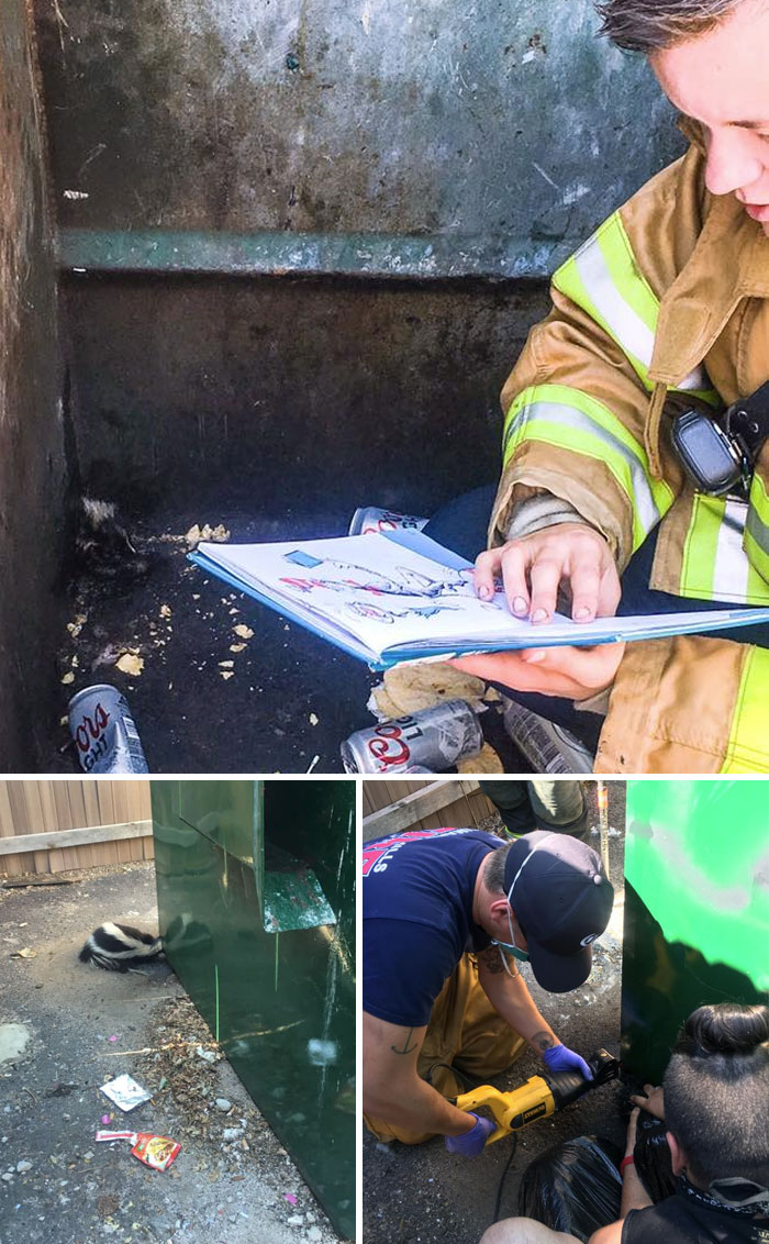 Firefighters Responded To A Report Of A Skunk With Its Head Caught In The Drain Hole Of A Dumpster. A Firefighter Kept The Critter Calm By Talking/Reading To Him While Other Firefighters Worked To Ultimately Cut Him Free