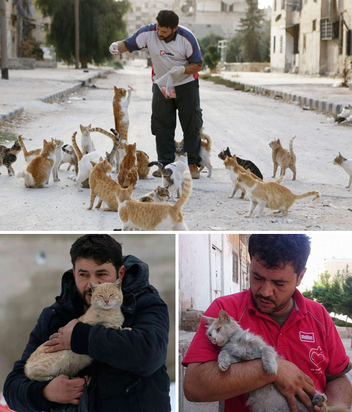 People Are Fleeing War-Torn Aleppo But This Man Is Staying To Care For Abandoned Cats
