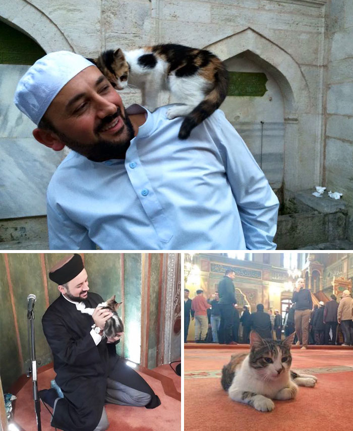 Imam Opens Mosque’s Doors To Stray Cats To Keep Them Warm