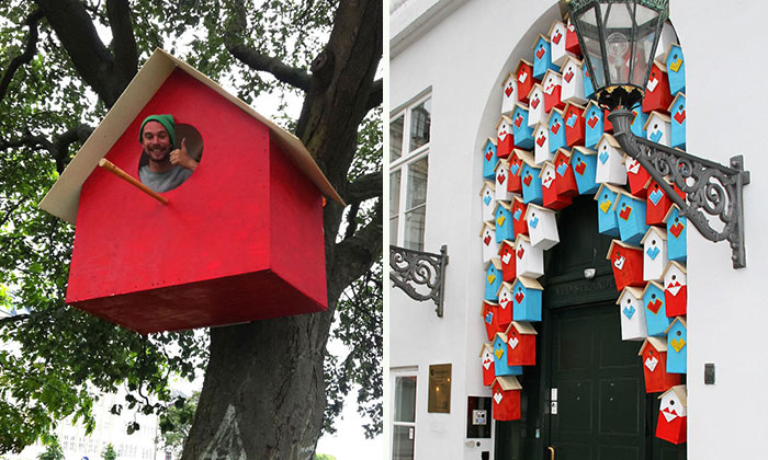 This Man Made 3500 Birdhouses From Scrapwood To Keep Birds In Cities