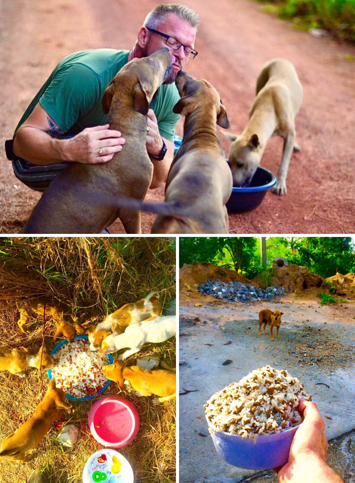 This Man Feeds 80 Stray Dogs Every Day Because He Can’t Bear To See Them Starve