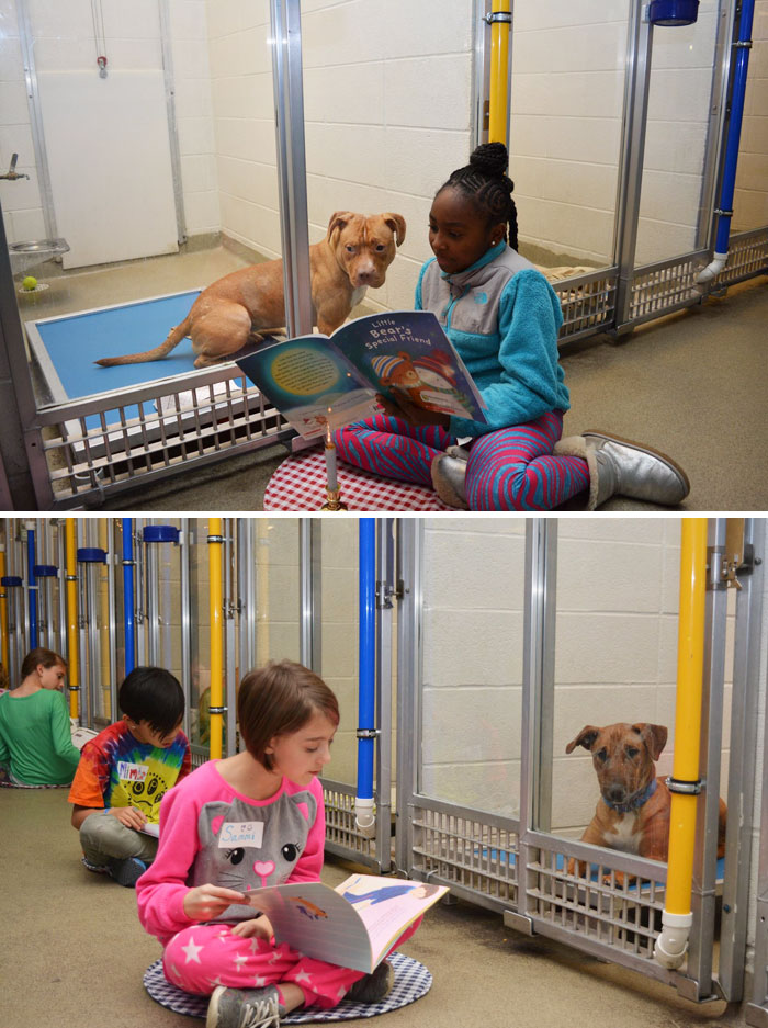 Animal Shelter Hosts A Children's Reading Program Where Kids Read To Shelter Dogs As A Way Of Preparing Them For Forever Homes