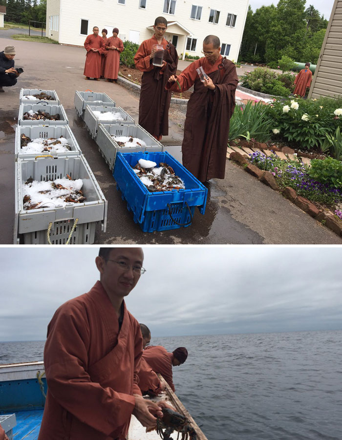 Monks Buy 600 Lbs Of Lobster, Release Them Into Ocean