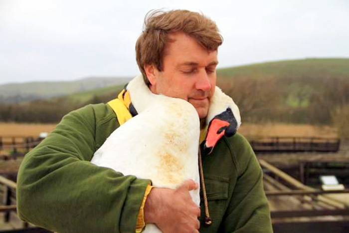 Swan Hugs The Man Who Rescued It By Wrapping Her Neck Around Him