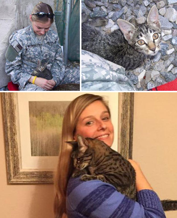 This Soldier Refused To Leave Sick Kitten Behind In Afghanistan, So She Waited Months For The Cat To Be Ready To Fly To The States, And Paid $2,000 In Shipping Costs