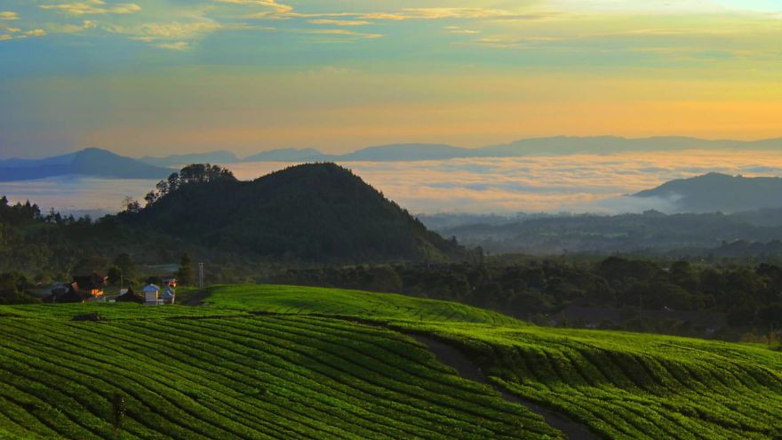 Top Escape Destination Near With Jakarta Aside Of Bogor Top Escape Destination Near With Jakarta Aside Of Bogor