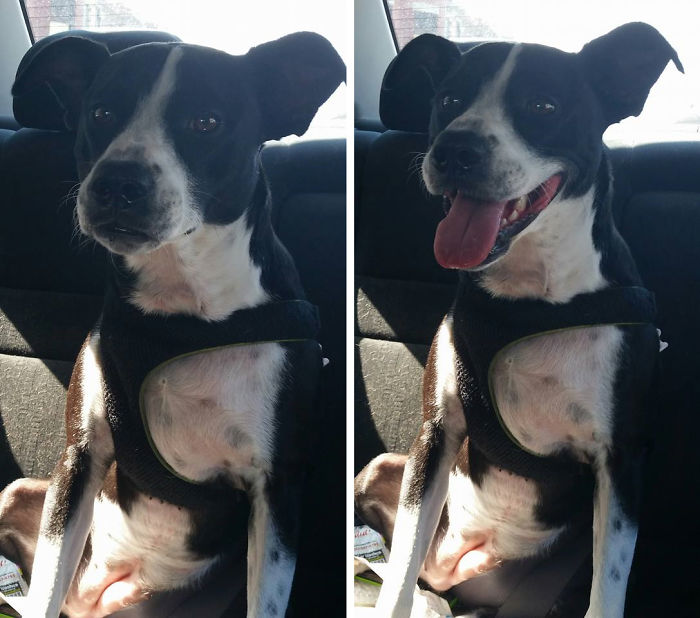 Lucy Before And After I Called Her A Good Girl