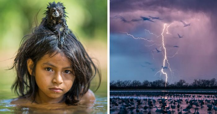 Coolest Photos Of The Year