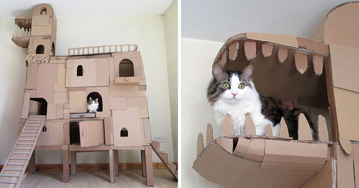 Human Builds A Dragon-Shaped Cardboard House For His Cat In Order To Please His Master