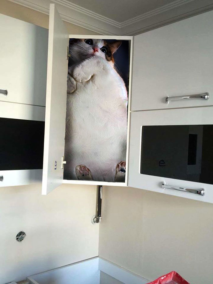 We Don't Open That Cabinet