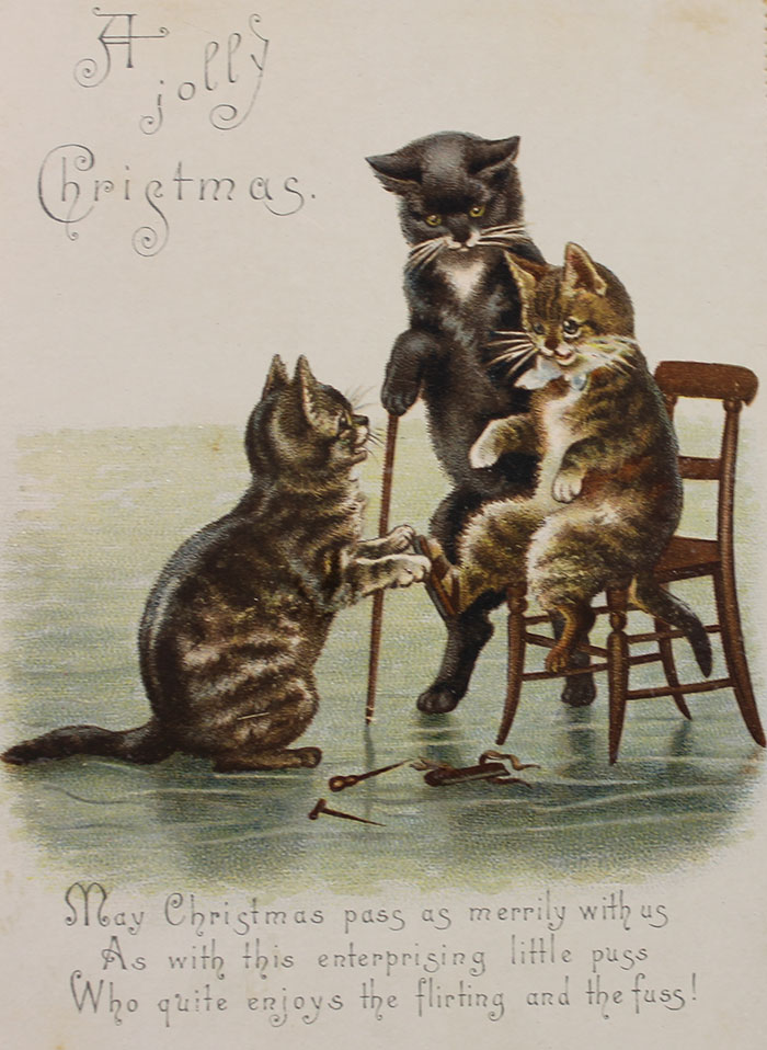 A Jolly Christmas. May Christmas Pass As Merrily With Us As With This Enterprising Little Puss Who Quite Enjoys The Flirting And The Fuss