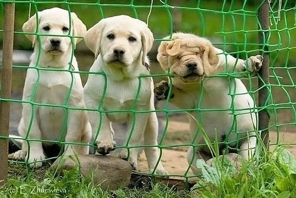 The Three Degrees Of Curiosity