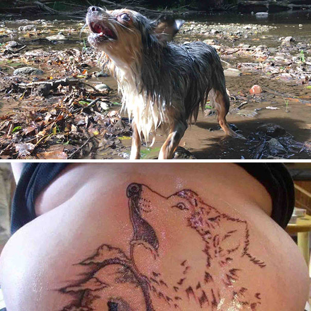 My Dog Looks Like That Ugly Wolf Tattoo