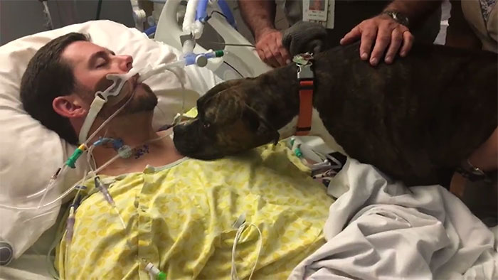 Dog Visits Dying Owner In Hospital To Say The Final Goodbye