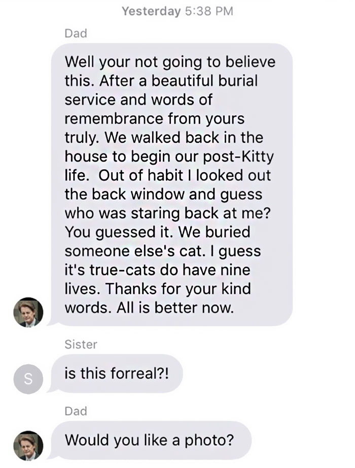 family-text-cat-death-eric-schmidt-2