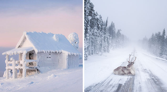 104 Reasons Why Lapland Is The Most Magical Place To Celebrate Christmas