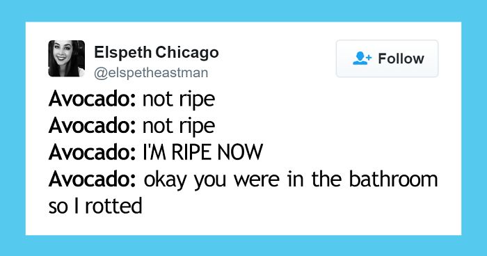 229 Of The Funniest Tweets From Women In 2016
