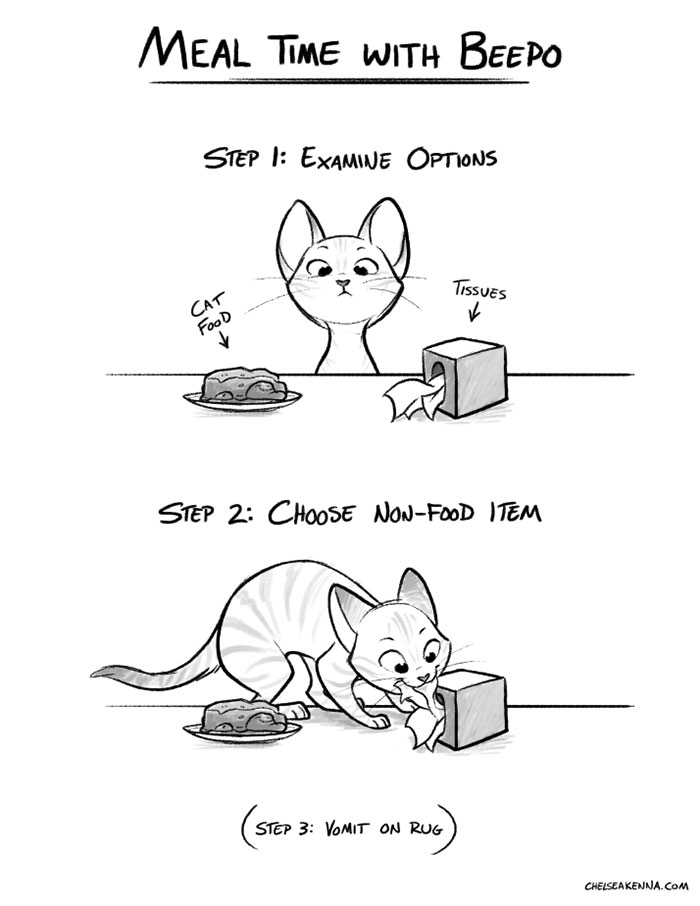 Cat Comics